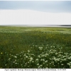 zegr eupheme biotope2 kher